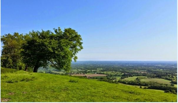 Chanctonbury RING 2 malcolm Oakley